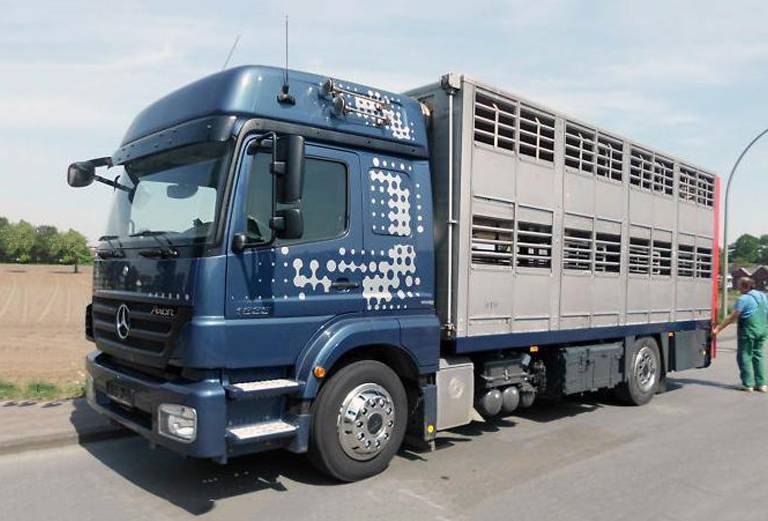 Транспортировка животных недорого из Судака в Темрюк